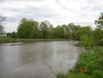 Location 28 - Looking downstream at Little Elk Creek with impaired riparian zone