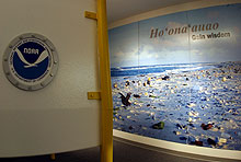 Dive bell theater and marine debris wall mural.