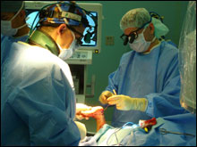 Photo: Doctors in operating room.