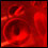 Photo: Blood cells