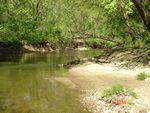 Location 17 - Looking upstream on Little Elk Creek - gentle flow and cut bank with large woody debris on far bank