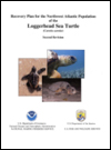 Final Recovery Plan for Atlantic Loggerhead Turtle