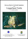 Final Recovery Plan for Loggerhead Turtle