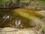 Location 22 - Confluence of Gravelly Run with side channel - note light colored sediment forming a delta