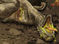 Illustration of dinosaurs dying amid a volcanic eruption.