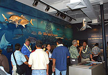 Mokupapapa: Discovery Center for Hawaii's Remote Coral Reefs.