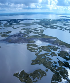 Lake Chapeau Sediment Input and Hydrologic Restoration Project