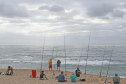 Group Fishing