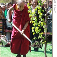 达赖喇嘛在哈佛大学植树