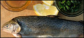 Whole trout, with ingredients for a Patagonia-inspired dish. Credit: Carol Guensburg for NPR.
