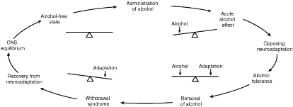 Pictorial representation of the Himmelsbach hypothesis as it applies to alcohol use.