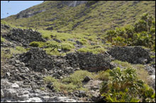 site complex, east palm valley