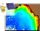 Image: Chlorophyll image from MODIS aboard NASA TERRA spacecraft