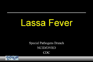 Lassa Fever Slide Set
