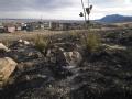 Burned area in Colorado