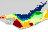 Ecological Forecasting