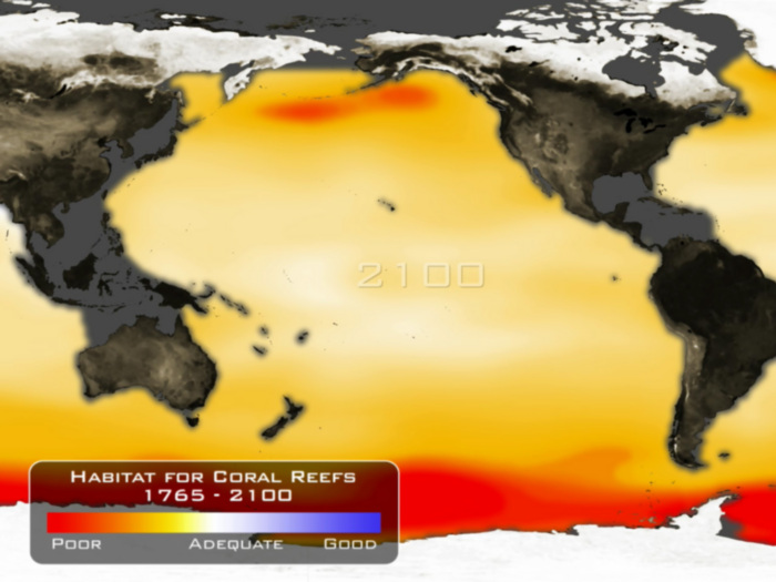 Ocean Acidification Impacts Coral Reefs