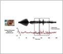 An illustration showing how musicians process sound differently from non-musicians.