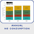 Annual NG Consumption