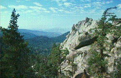Photo of California's James San Jacinto Mountain Reserve.