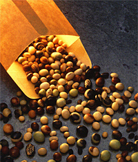 Photo of soybeans emptied from an envelope.