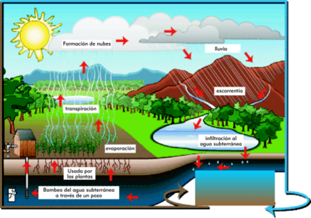 Ciclo hidrológico