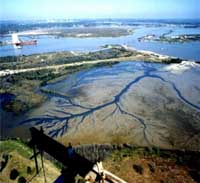 Galveston Bay dredged material in place late 1998 in San Jacinto Monument State Park