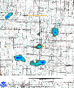 snow geese on NEXRAD