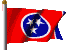 Waving Tennessee Flag