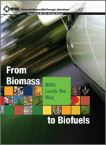 Thumbnail cover of From Biomass to Biofuels: NREL Leads the Way document.