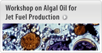 Workshop on Algal Oil for Jet Fuel Production