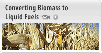 Converting Biomass to Liquid Fuels (video)