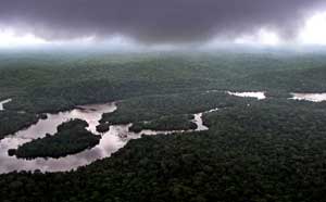 Rain forest in Lope Reserve, Gabon, July 4, 2001. [© AP Images]