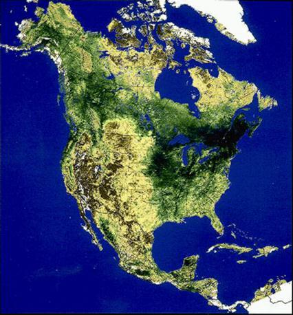 Greenness Image of the United States