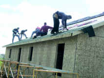 Rural Development employees assist in building a home 