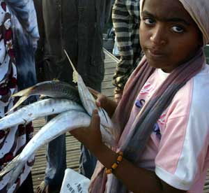 A girl gets fish from the fishermen at the Djibouti port, March 3, 2007. [© AP Images]