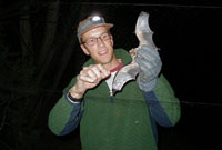 USGS Research Biologist Paul Cryan takes a female hoary bat out of a net.  This bat was intercepted during its spring migration through New Mexico.  Photo by Leslie Cryan.