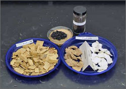Photo of bowls on a table filled with wood pulp, wood chips, and yellow poplar biomass feedstock samples.