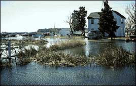 Photo of flooded coast line in Maryland