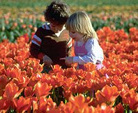 Spring in Michigan, kids in field of tulips