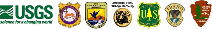 Members of the Interagency Grizzly Bear Study Team logo