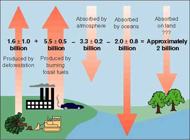 Diagram showing the global CO2 budget