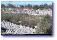 USGS, California Water Science Center, City Creek Webcam