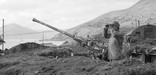 A gunner scans the skies for enemy aircraft in the Andreanof Island group in the Central Aleutians. Circa 1943