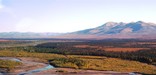 Kelly River fall colors in the Noatak National Preserve