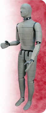 Photo of Advanced Automotive Manikin