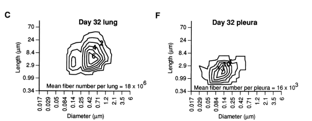 Relative size distribution of fibers