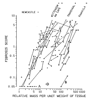 Relationships when the parameter of fibre quantity is mass. Linked data points relate to tissue specimens from the same subject.