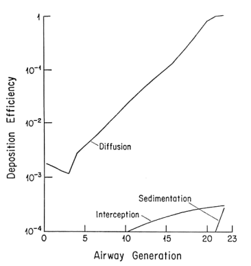 Airway Generation and Depostion Efficiency