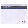 Global Express Guaranteed Plastic Envelope